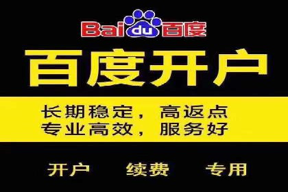百度竞价推广公司案例：电商行业逆袭之路